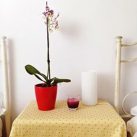 Faro Bianco Bed & Breakfast *