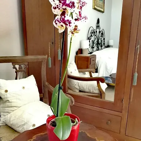 Faro Bianco Bed & Breakfast *