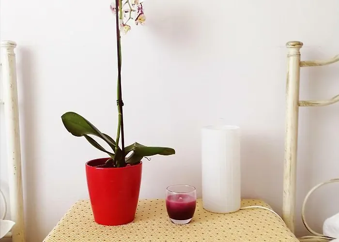 Faro Bianco Alojamento de Acomodação e Pequeno-almoço *